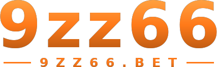 9zz66 logo